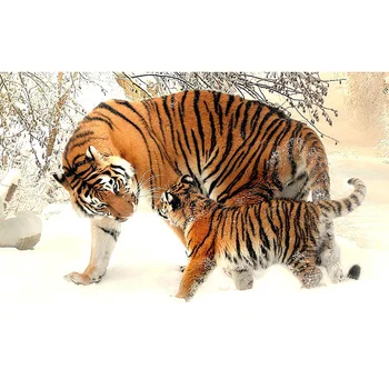 Алмазная живопись Снежный тигр DIY Алмазная вышивка Животные Вышивка крестиком Полная квадратная/круглая картина дрелью